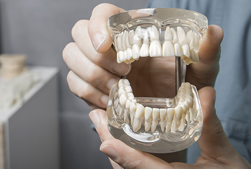 Ortodontia: Função da Mordida | Dentista em Sorocaba | Consultório de Odontologia